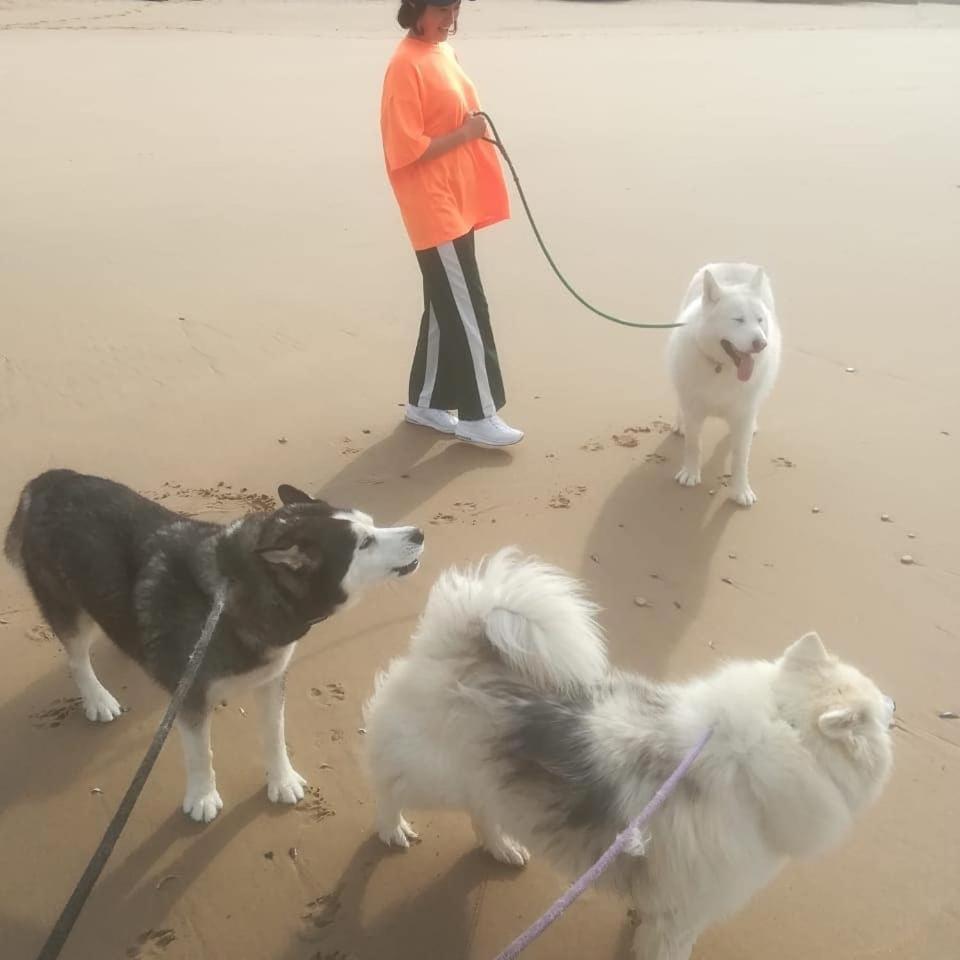 Jojo'S Bnb Mossel Bay Kültér fotó