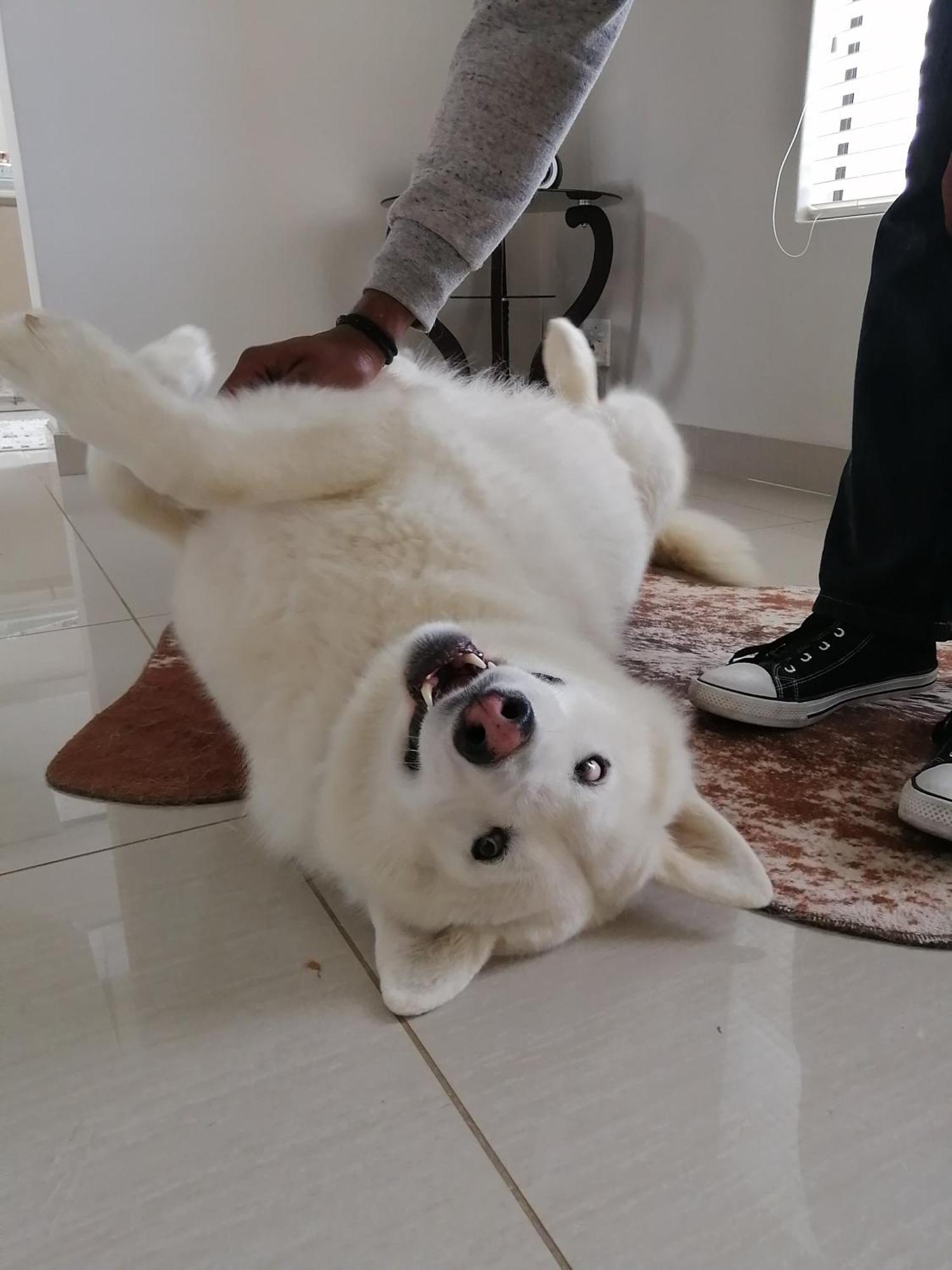 Jojo'S Bnb Mossel Bay Kültér fotó