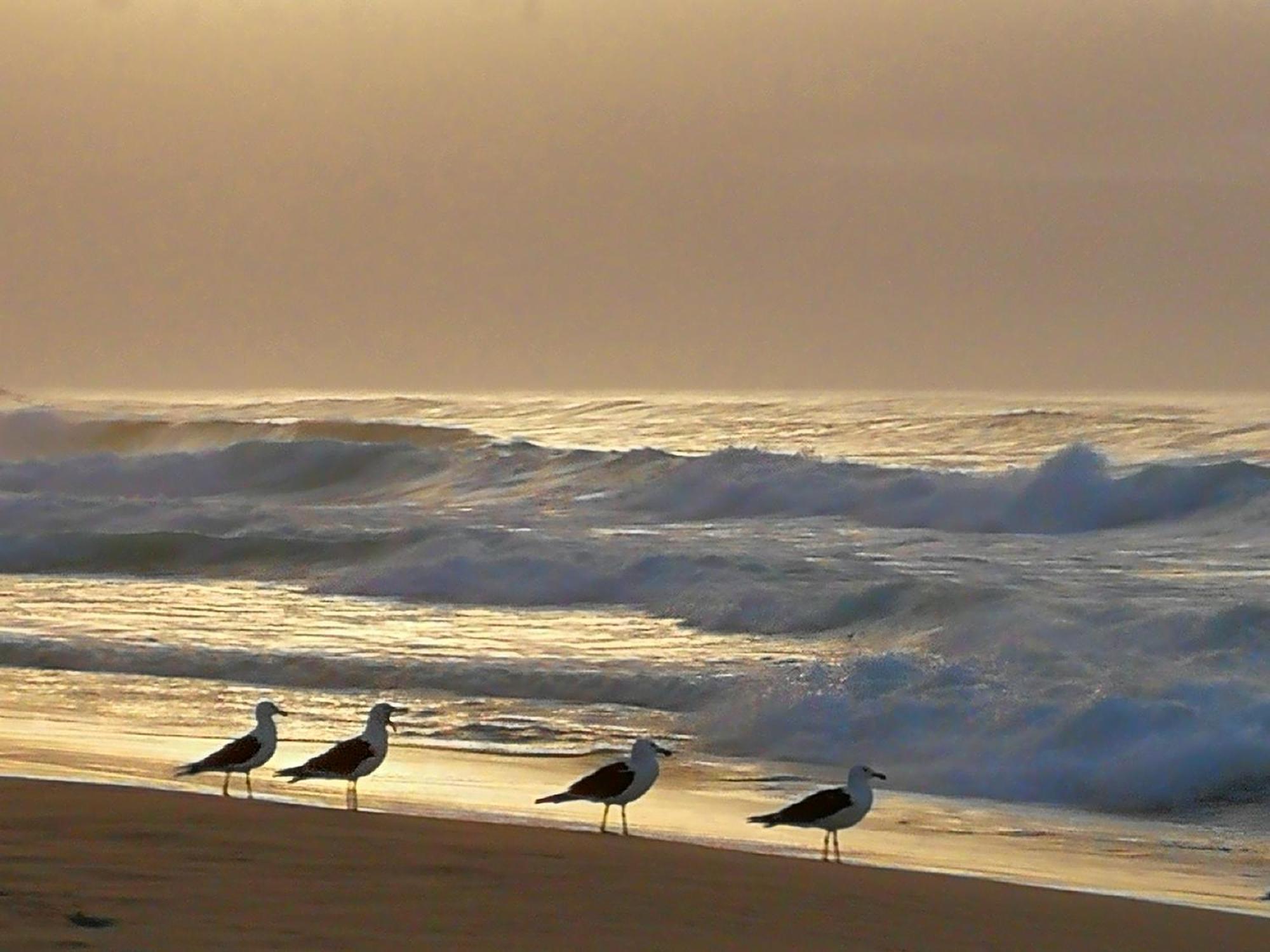 Jojo'S Bnb Mossel Bay Kültér fotó