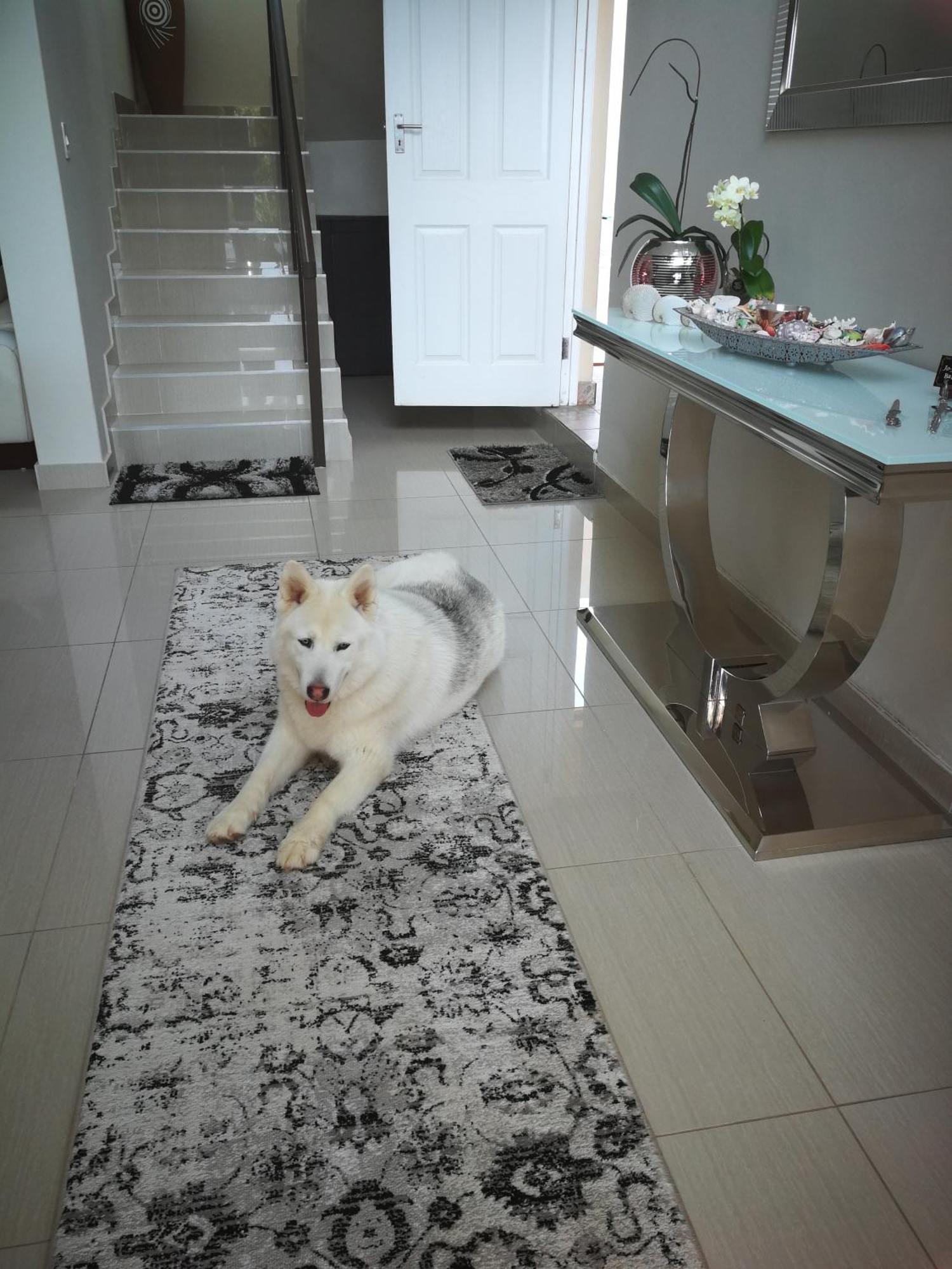 Jojo'S Bnb Mossel Bay Kültér fotó